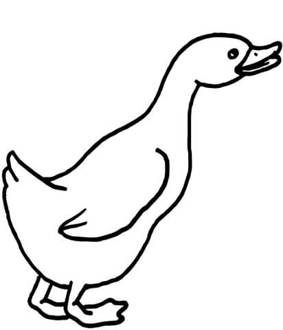 Curious Goose Coloring Page